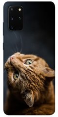 Чохол itsPrint Рудий кіт для Samsung Galaxy S20+