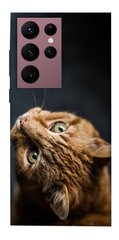 Чехол itsPrint Рыжий кот для Samsung Galaxy S22 Ultra