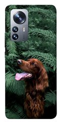 Чехол itsPrint Собака в зелени для Xiaomi 12 / 12X