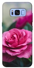 Чохол itsPrint Троянда у саду для Samsung G950 Galaxy S8