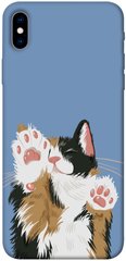 Чохол itsPrint Funny cat для Apple iPhone XS Max (6.5")