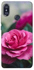 Чехол itsPrint Роза в саду для Xiaomi Redmi Note 5 Pro / Note 5 (AI Dual Camera)