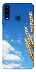 Чохол itsPrint Пшениця для Samsung Galaxy A20s
