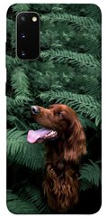 Чохол itsPrint Собака в зелені для Samsung Galaxy S20