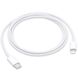 Дата кабель USB-C to Lightning for Apple (AAA) (1m) (box) White фото 1