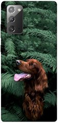 Чохол itsPrint Собака в зелені для Samsung Galaxy Note 20