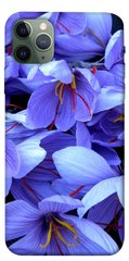 Чехол itsPrint Фиолетовый сад для Apple iPhone 11 Pro Max (6.5")