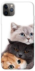 Чохол itsPrint Три коти для Apple iPhone 12 Pro Max (6.7")