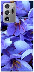 Чохол itsPrint Фіолетовий сад для Samsung Galaxy Note 20 Ultra
