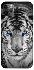 Чохол itsPrint Бенгальський тигр для Apple iPhone 12 Pro Max (6.7")