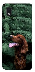 Чехол itsPrint Собака в зелени для Samsung Galaxy M01 Core / A01 Core