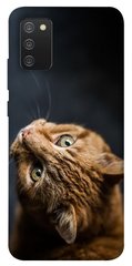 Чохол itsPrint Рудий кіт для Samsung Galaxy A02s