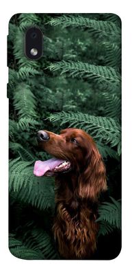 Чохол itsPrint Собака в зелені для Samsung Galaxy M01 Core / A01 Core