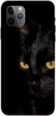 Чохол itsPrint Чорний кіт для Apple iPhone 11 Pro Max (6.5")