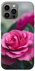 Чехол itsPrint Роза в саду для Apple iPhone 12 Pro Max (6.7")