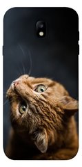 Чехол itsPrint Рыжий кот для Samsung J730 Galaxy J7 (2017)