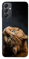 Чехол itsPrint Рыжий кот для Samsung Galaxy A24 4G
