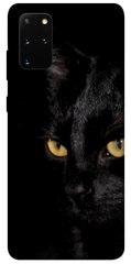 Чохол itsPrint Чорний кіт для Samsung Galaxy S20+
