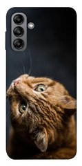 Чехол itsPrint Рыжий кот для Samsung Galaxy A04s