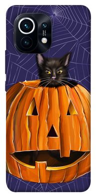 Чехол itsPrint Cat and pumpkin для Xiaomi Mi 11