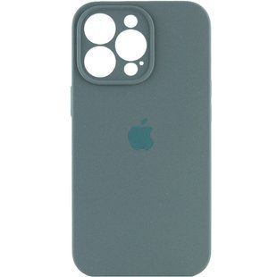 Чохол Silicone Case Full Camera Protective (AA) для Apple iPhone 16 Pro (6.3") Зелений / Pine green