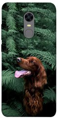 Чехол itsPrint Собака в зелени для Xiaomi Redmi 5 Plus / Redmi Note 5 (Single Camera)