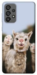Чохол itsPrint Funny llamas для Samsung Galaxy A73 5G