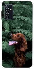 Чохол itsPrint Собака в зелені для Samsung Galaxy M52