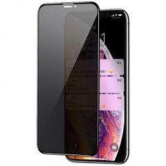 Захисне скло Privacy 5D Matte (full glue) (тех.пак) для Apple iPhone 11 / XR (6.1") Чорний