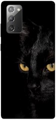 Чохол itsPrint Чорний кіт для Samsung Galaxy Note 20