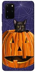 Чохол itsPrint Cat and pumpkin для Samsung Galaxy S20+