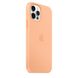 Чохол Silicone Case Full Protective (AA) для Apple iPhone 12 Pro Max (6.7") Помаранчевий / Cantaloupe фото 2