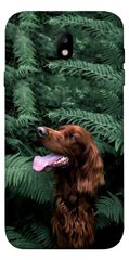 Чехол itsPrint Собака в зелени для Samsung J730 Galaxy J7 (2017)