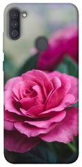 Чохол itsPrint Троянди в саду для Samsung Galaxy A11