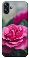 Чехол itsPrint Роза в саду для Samsung Galaxy A04e