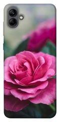 Чехол itsPrint Роза в саду для Samsung Galaxy A04