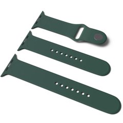 Силіконовий ремінець для Apple Watch Sport Band 38 / 40 / 41 (S/M & M/L) 3pcs Зелений / Pine green