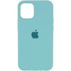 Чехол Silicone Case Full Protective (AA) для Apple iPhone 12 Pro Max (6.7") Бирюзовый / Swimming pool