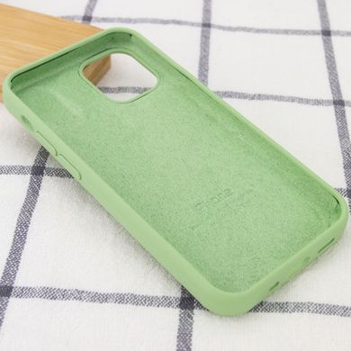 Чехол Silicone Case Full Protective (AA) для Apple iPhone 16 Plus (6.7") Мятный / Mint