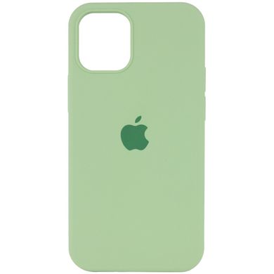 Чехол Silicone Case Full Protective (AA) для Apple iPhone 16 Plus (6.7") Мятный / Mint