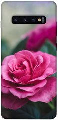 Чехол itsPrint Роза в саду для Samsung Galaxy S10+