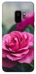 Чохол itsPrint Троянди в саду для Samsung Galaxy S9