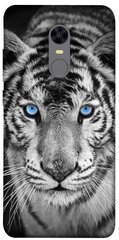Чехол itsPrint Бенгальский тигр для Xiaomi Redmi 5 Plus / Redmi Note 5 (Single Camera)