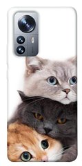 Чехол itsPrint Три кота для Xiaomi 12 / 12X