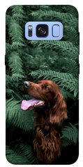Чохол itsPrint Собака у зелені для Samsung G950 Galaxy S8