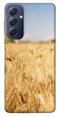 Чохол itsPrint Поле пшениці для Samsung Galaxy M54 5G
