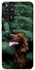 Чехол itsPrint Собака в зелени для Xiaomi Redmi Note 11 (Global) / Note 11S