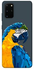 Чехол itsPrint Попугай для Samsung Galaxy S20+
