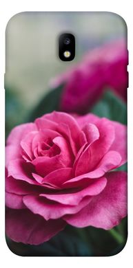 Чохол itsPrint Троянди в саду для Samsung J730 Galaxy J7 (2017)
