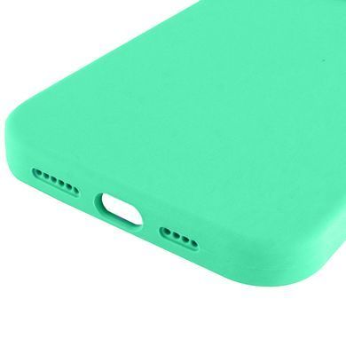 Чехол Silk Full Protective (AA) NO LOGO для Apple iPhone 16 Pro Max (6.9") Зеленый / Spearmint